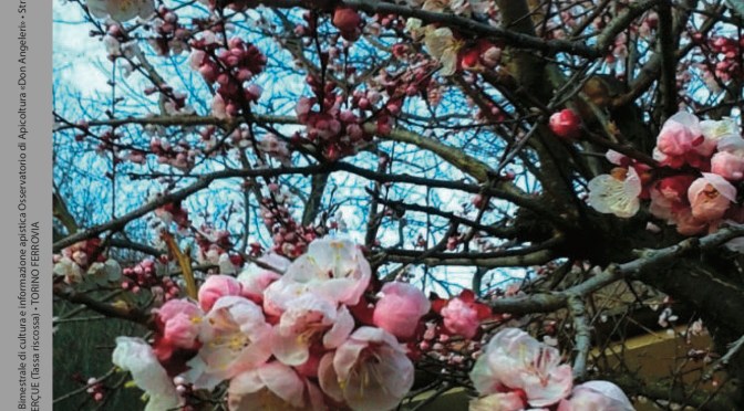 Disponibile il nuovo numero di Api & Flora