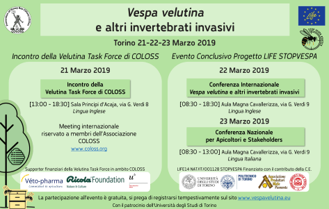 vespa velutina e altri invertebrati invasivi - programma generale ita