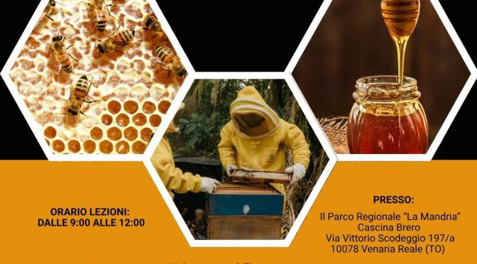 Corso di Apicoltura di Primo Livello 2025