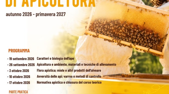 Corso di I livello di apicoltura